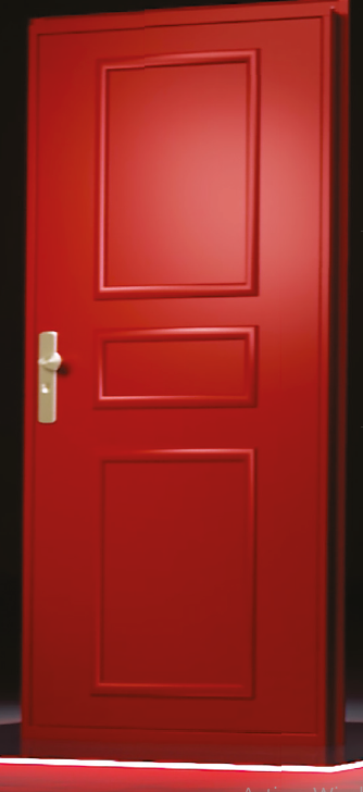 porte d'entrée et porte de service acier